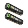 Ryobi USB Lithium 2.0 Ah Lithium Rechargeable Batteries (2-Pack)